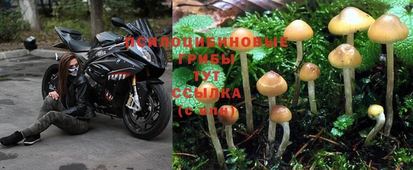 a pvp Верея