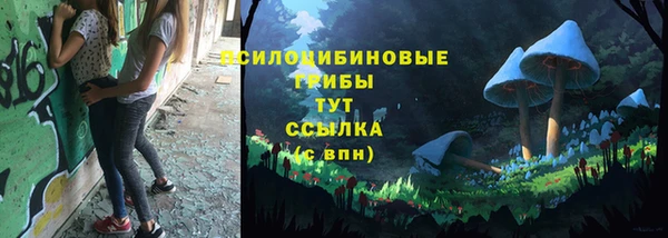a pvp Верея