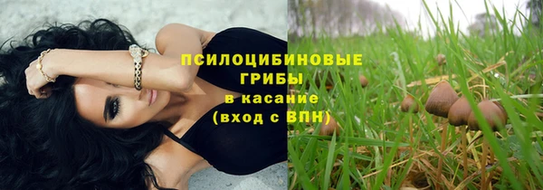 a pvp Верея
