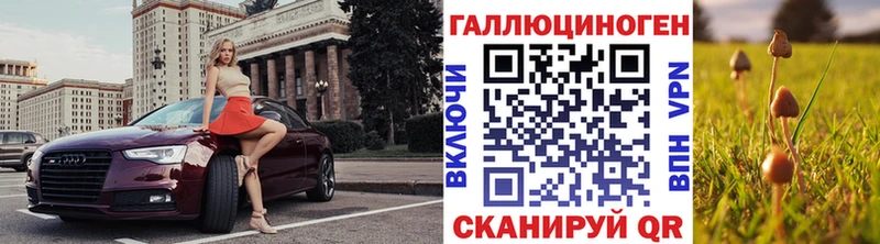 Галлюциногенные грибы Psilocybe  Каргат 
