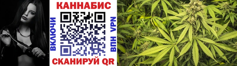 как найти наркотики  Каргат  Конопля SATIVA & INDICA 